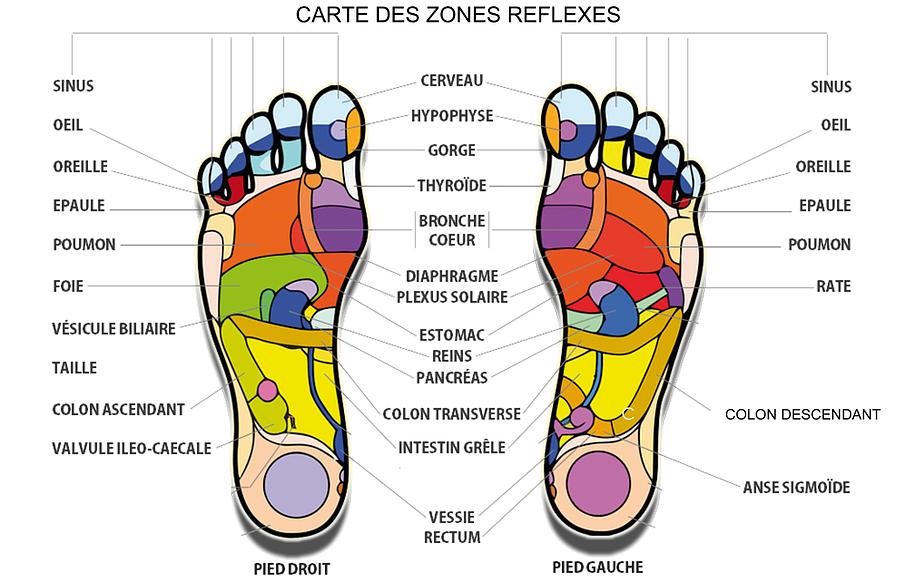 Carte de réflexologie plantaire